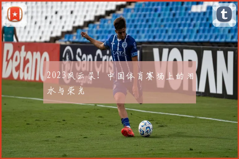 2023风云录！中国体育赛场上的泪水与荣光