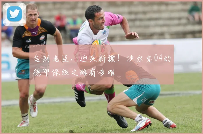 告别老臣，迎来新援！沙尔克04的德甲保级之路有多难