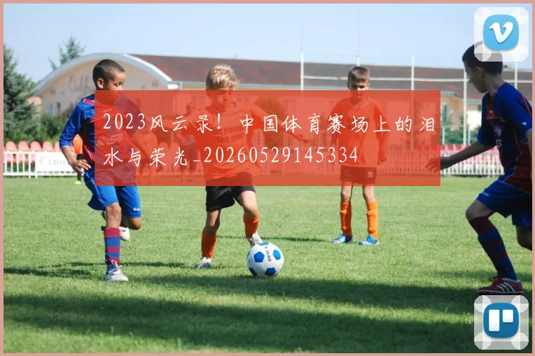 2023风云录!中国体育赛场上的泪水与荣光_20260529145334