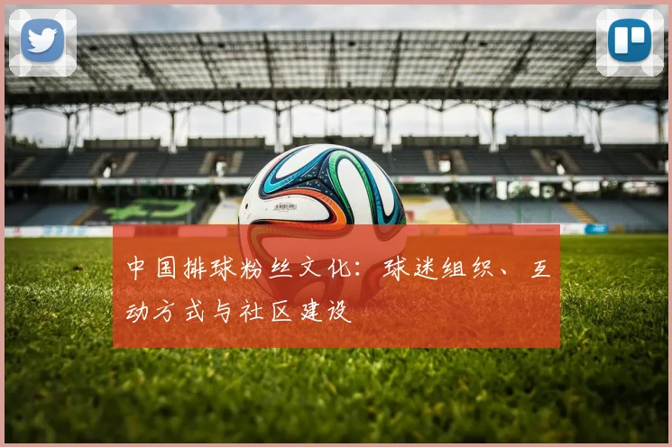 中国排球粉丝文化：球迷组织、互动方式与社区建设